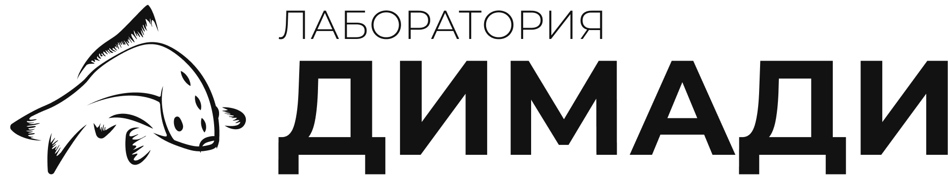 Лаборатория ДИМАДИ
